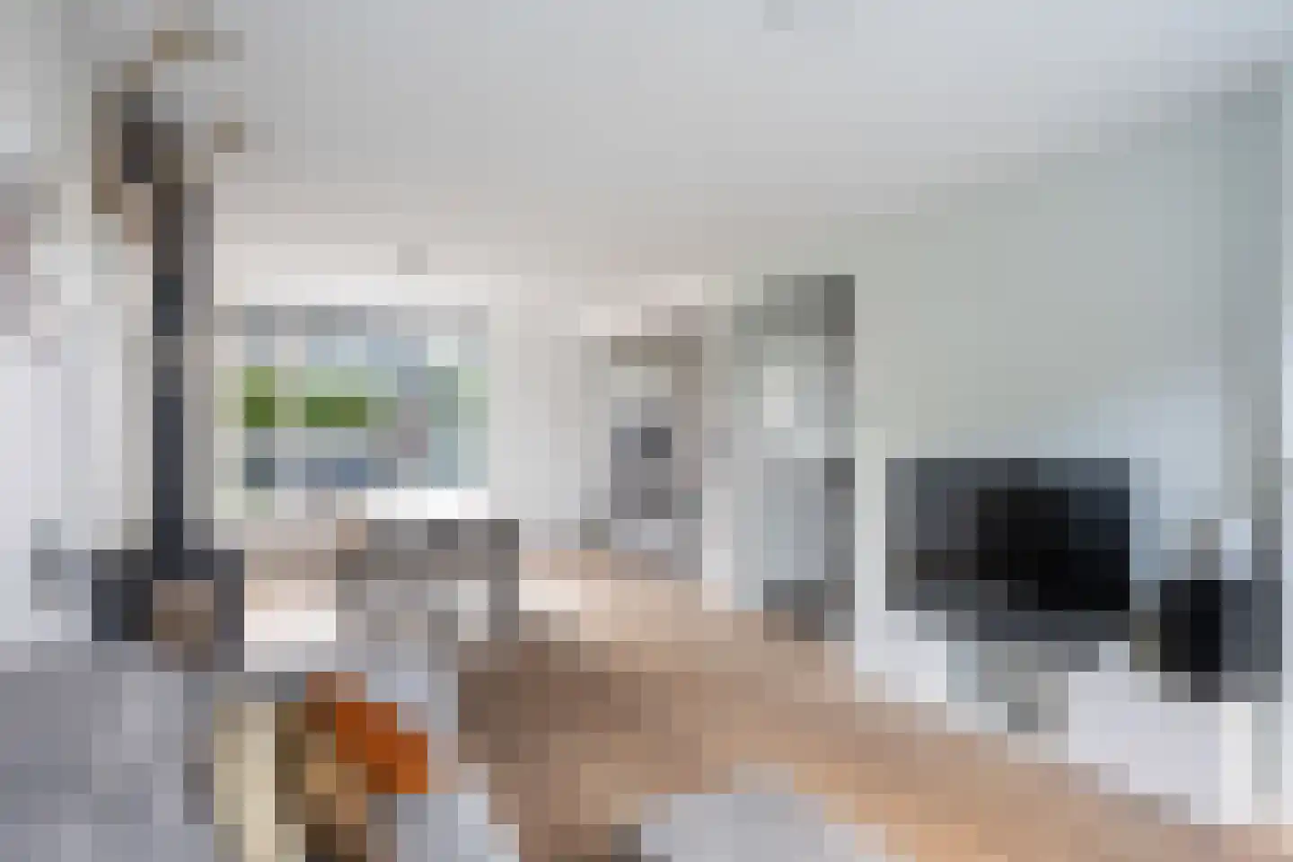 Meerweg 4 Berkel en Rodenrijs thumbnail 4