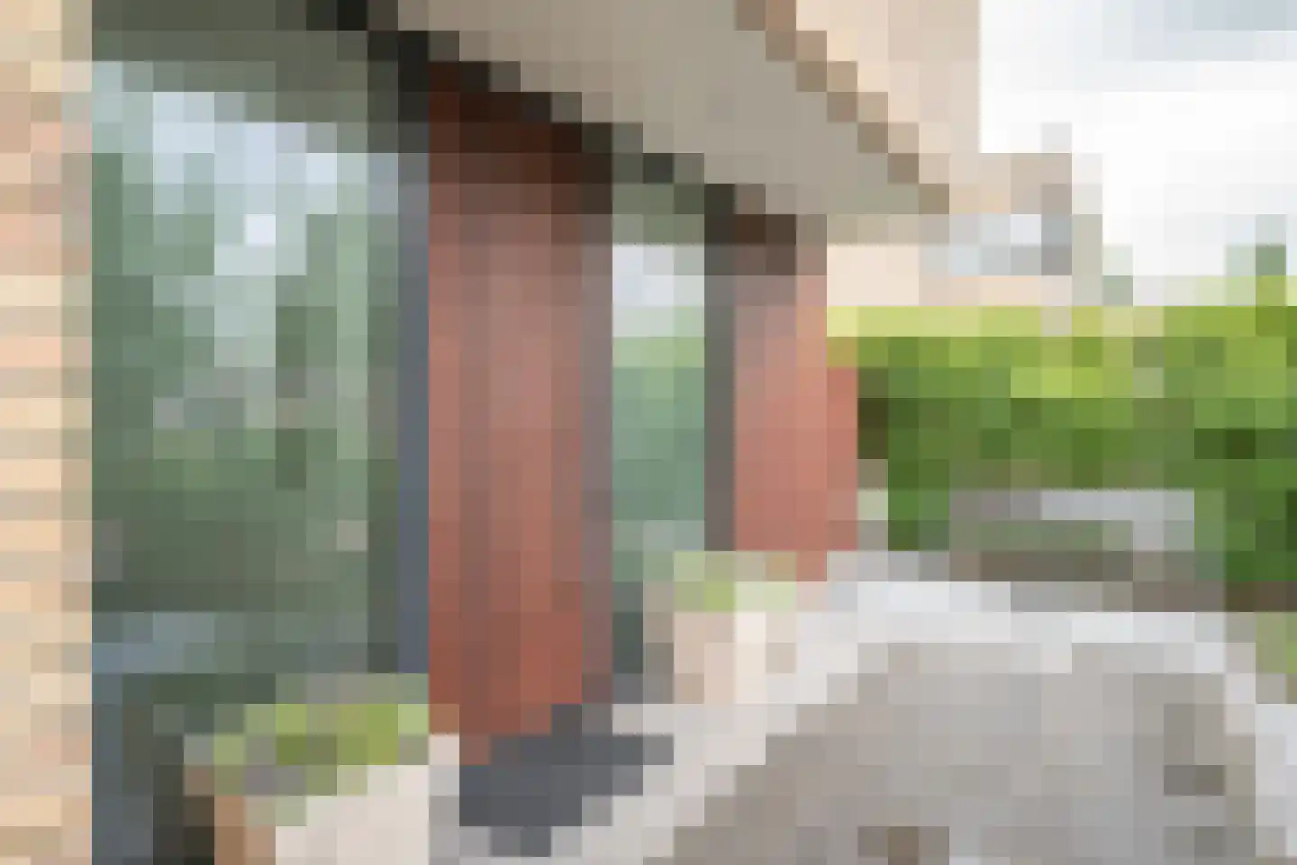 Meerweg 40 d Berkel en Rodenrijs thumbnail 10
