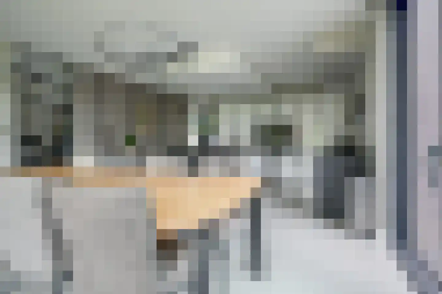 Meerweg 40 d Berkel en Rodenrijs thumbnail 24