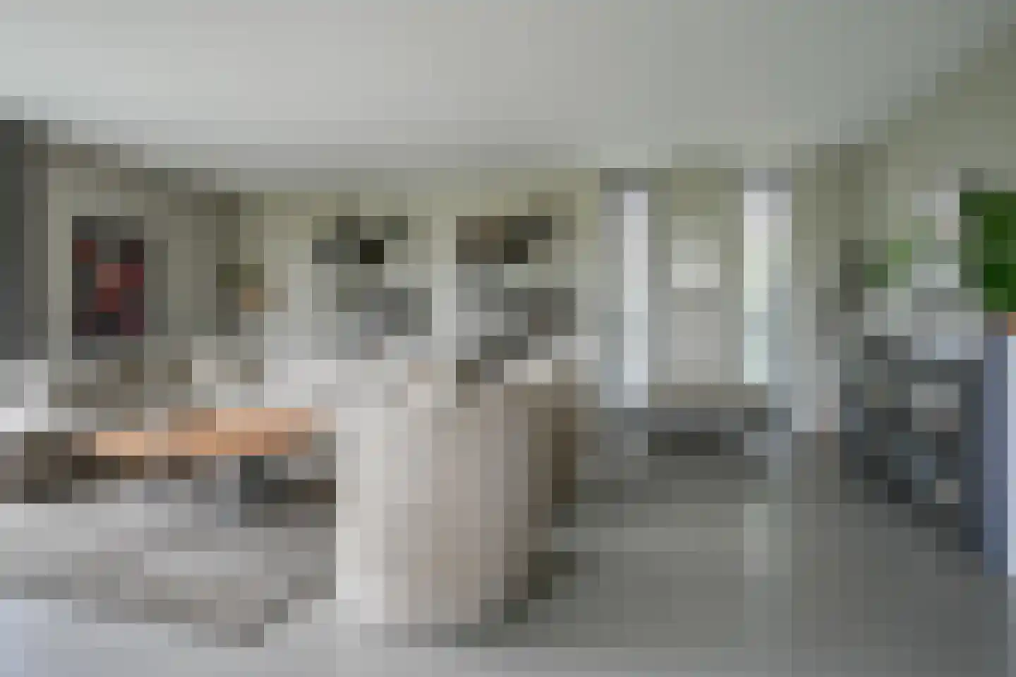 Meerweg 40 d Berkel en Rodenrijs thumbnail 25