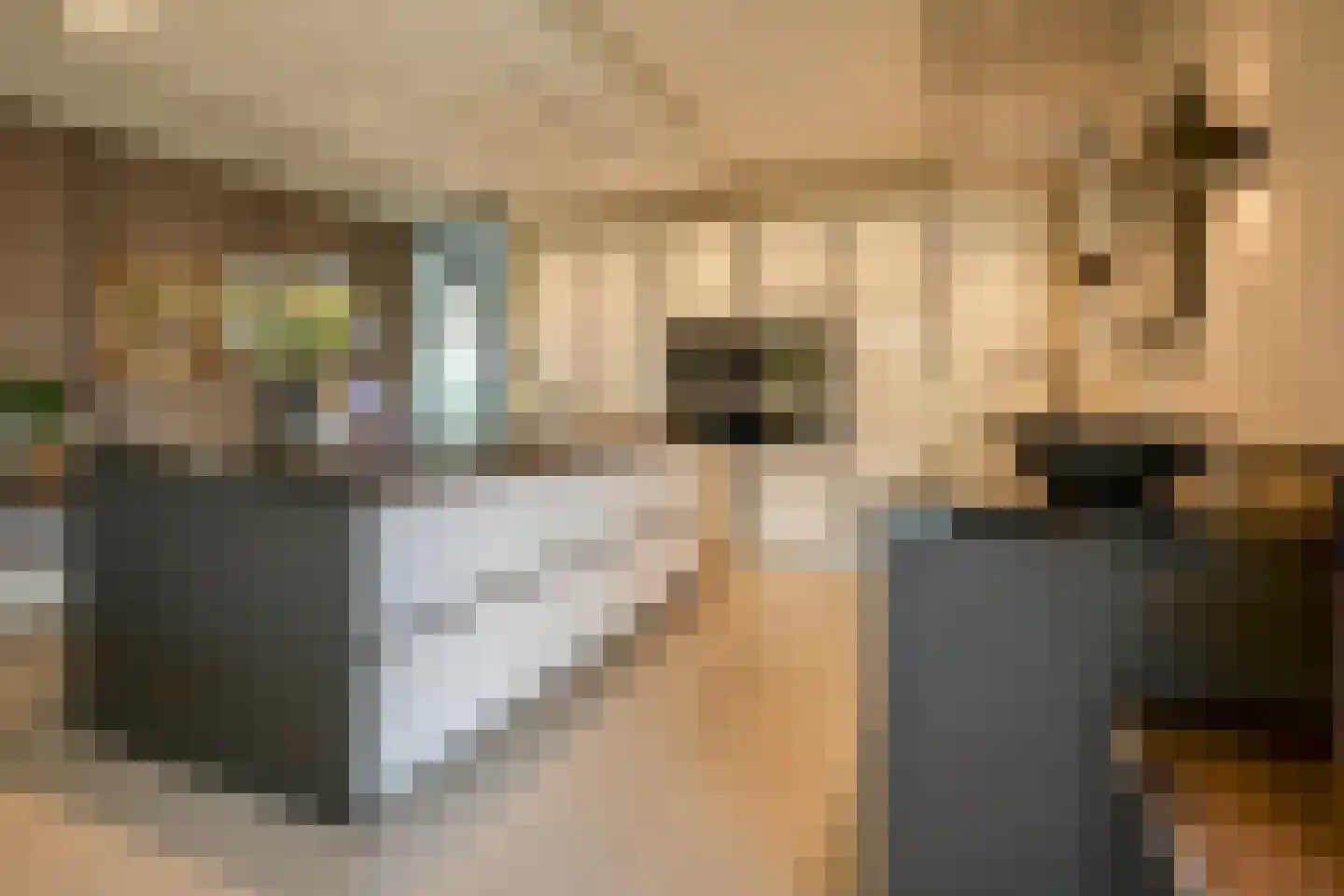 Meerweg 40 d Berkel en Rodenrijs thumbnail 33
