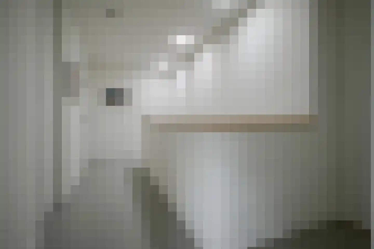 Meerweg 40 d Berkel en Rodenrijs thumbnail 63