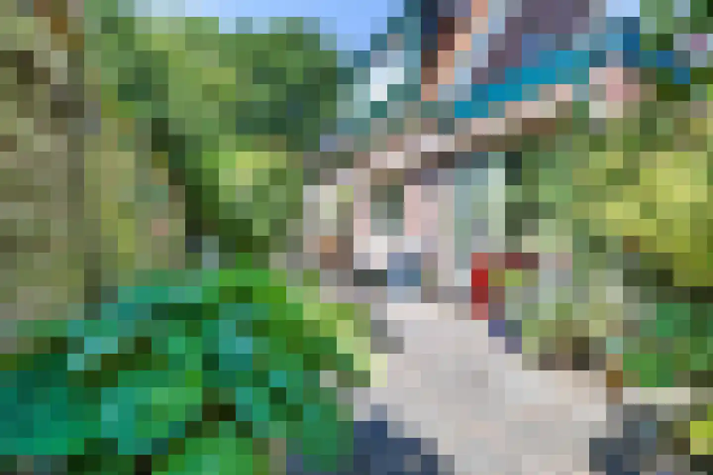 Meerweg 41 Bergen (NH) thumbnail 16