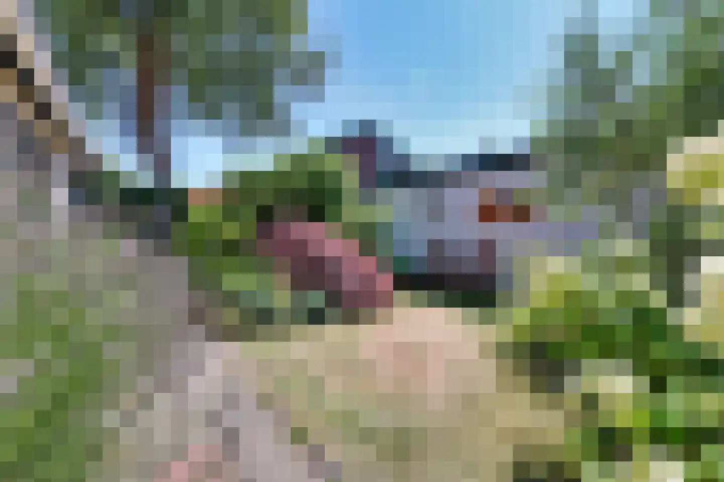 Meerweg 41 Bergen (NH) thumbnail 40