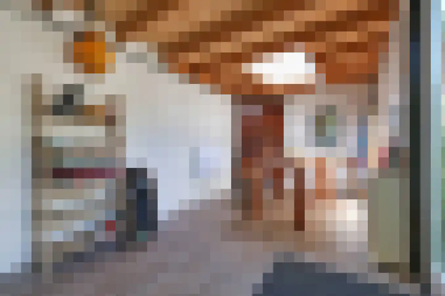 Meerweg 41 Bergen (NH) thumbnail 58