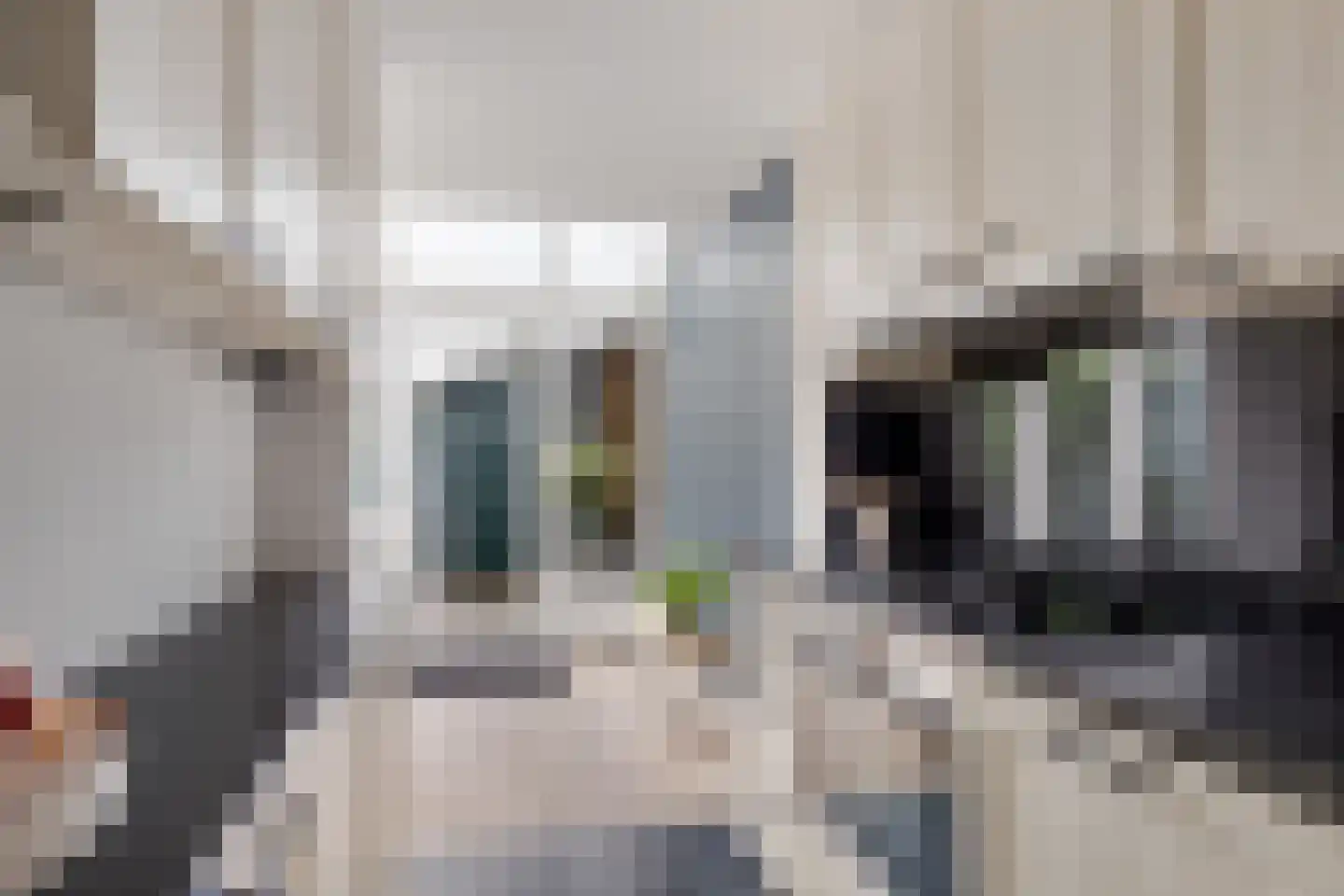 Meerweg 41 Heemstede thumbnail 12