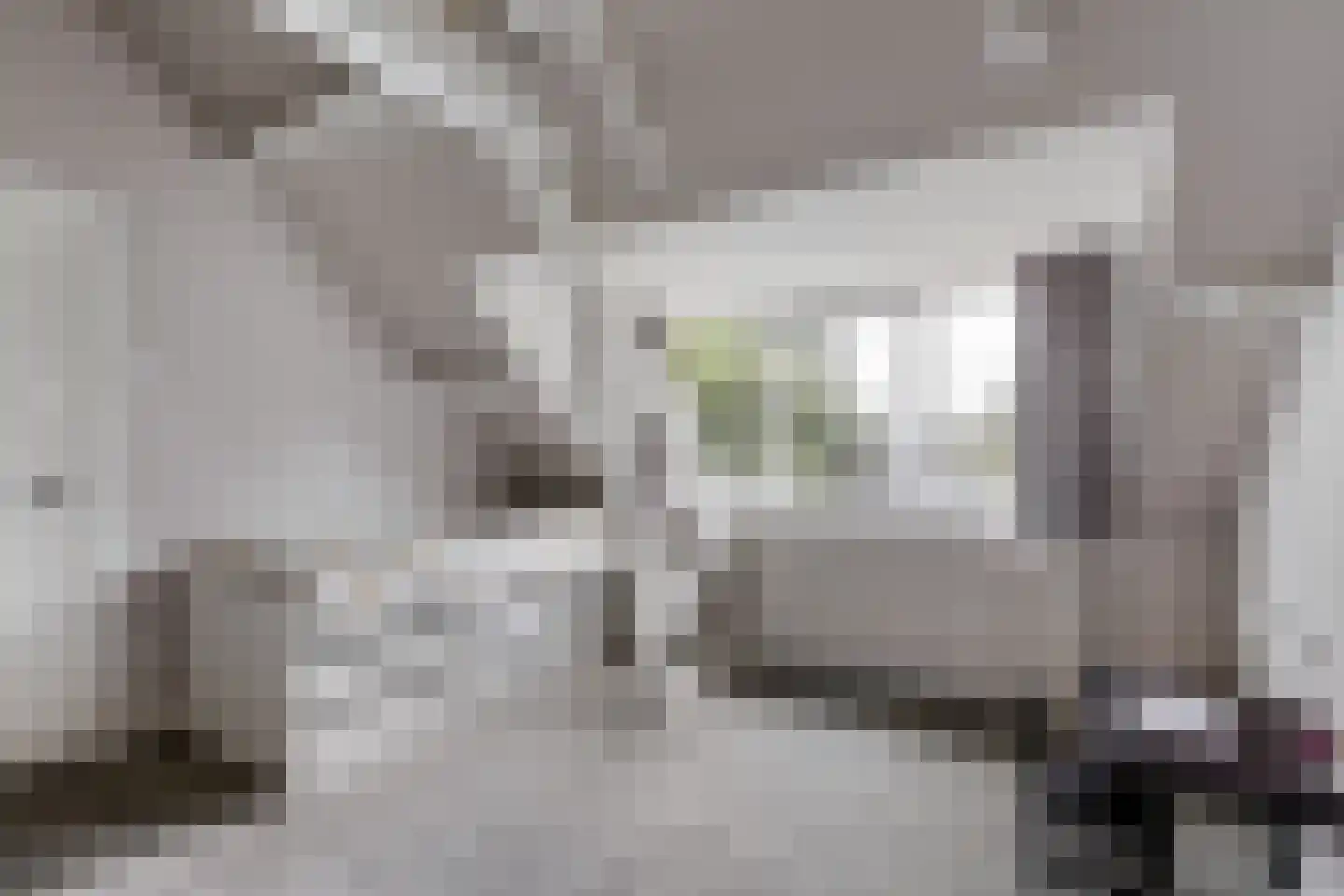 Meerweg 41 Heemstede thumbnail 22