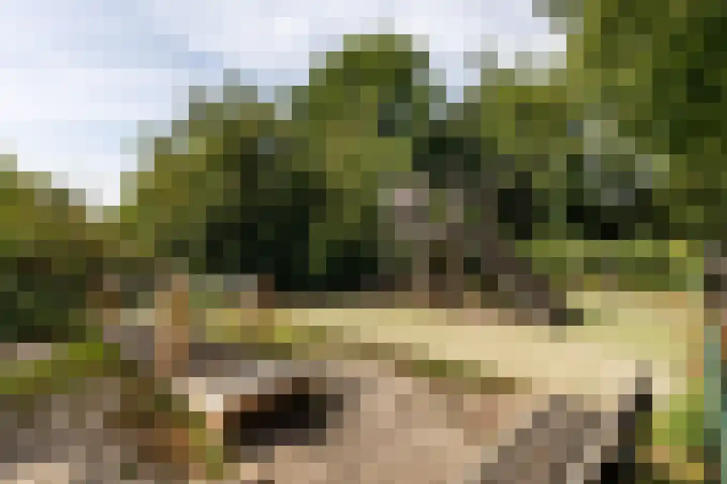 Meerweg 41 Heemstede thumbnail 29