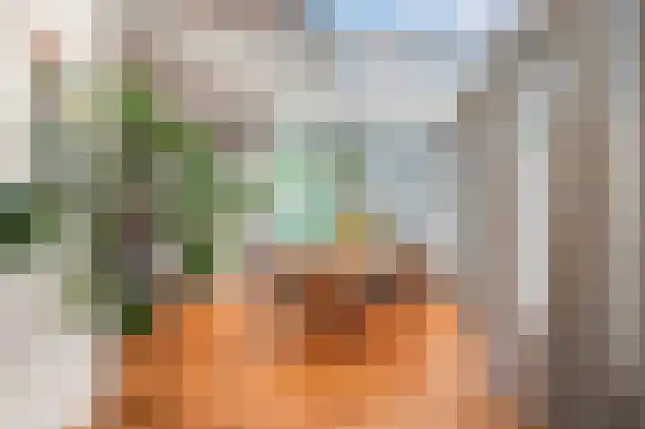 Meerweg 5 Bemmel thumbnail 13