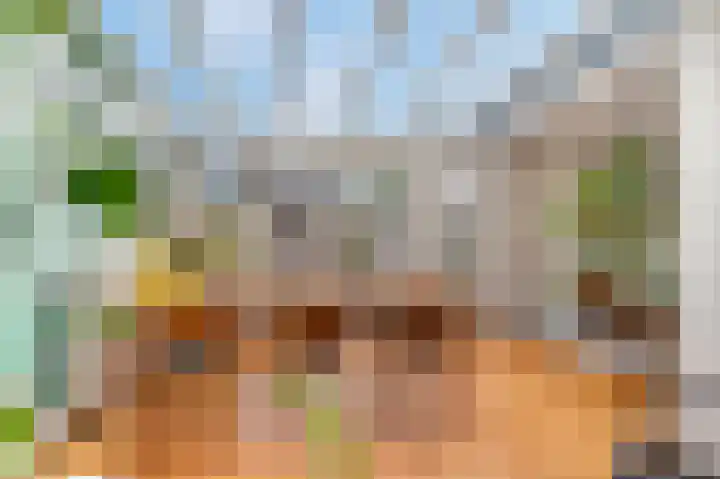Meerweg 5 Bemmel thumbnail 14