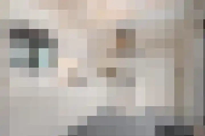 Meerweg 5 Bemmel thumbnail 15