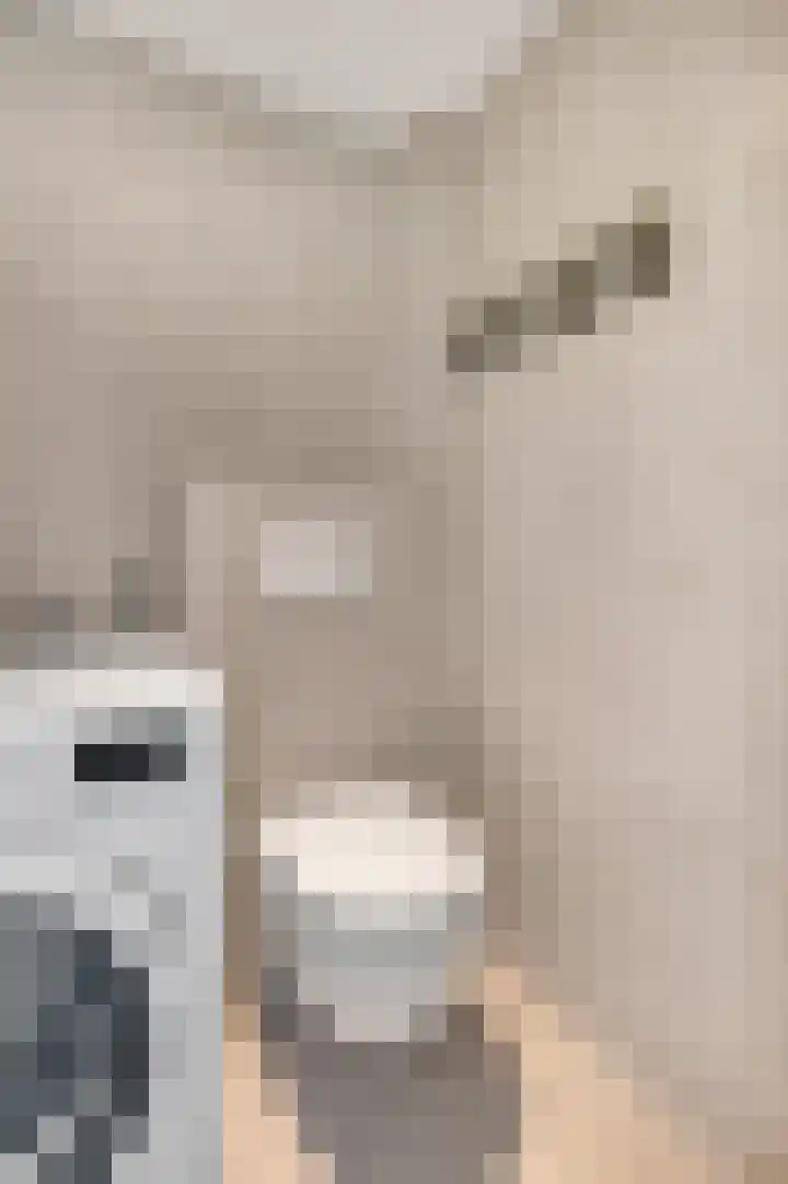 Meerweg 5 Bemmel thumbnail 30