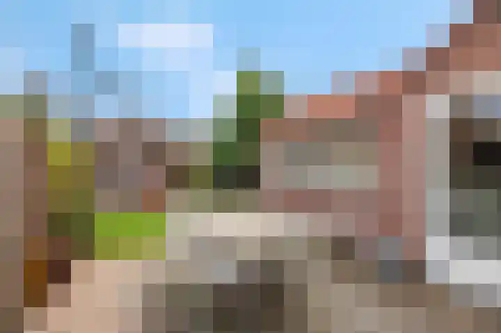 Meerweg 5 Bemmel thumbnail 31