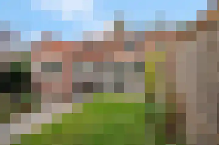Meerweg 5 Bemmel thumbnail 34