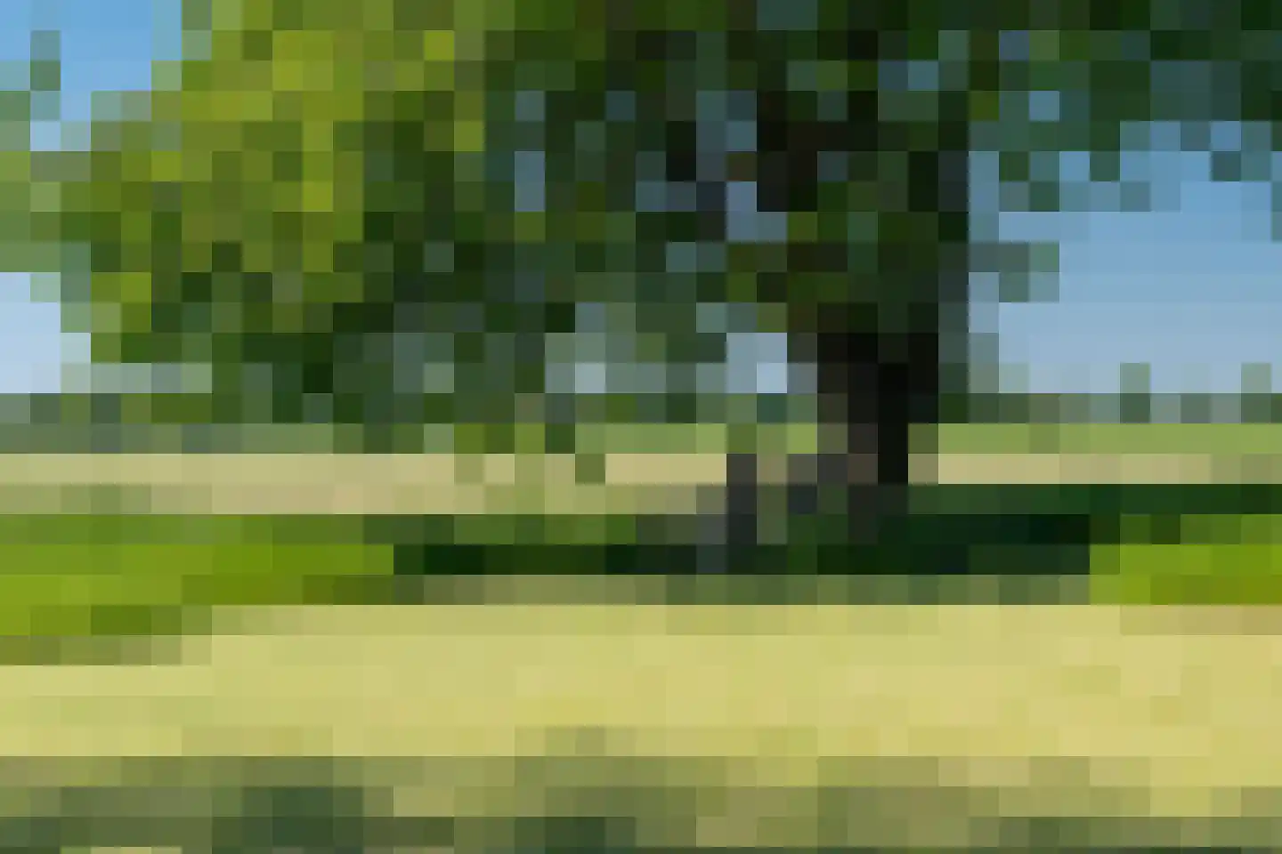 Meerweg 51 Overschild thumbnail 105