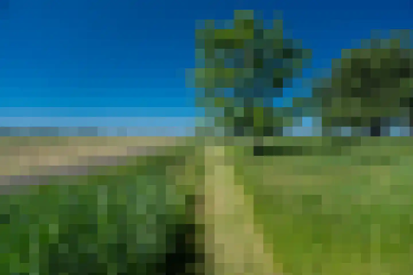 Meerweg 51 Overschild thumbnail 106