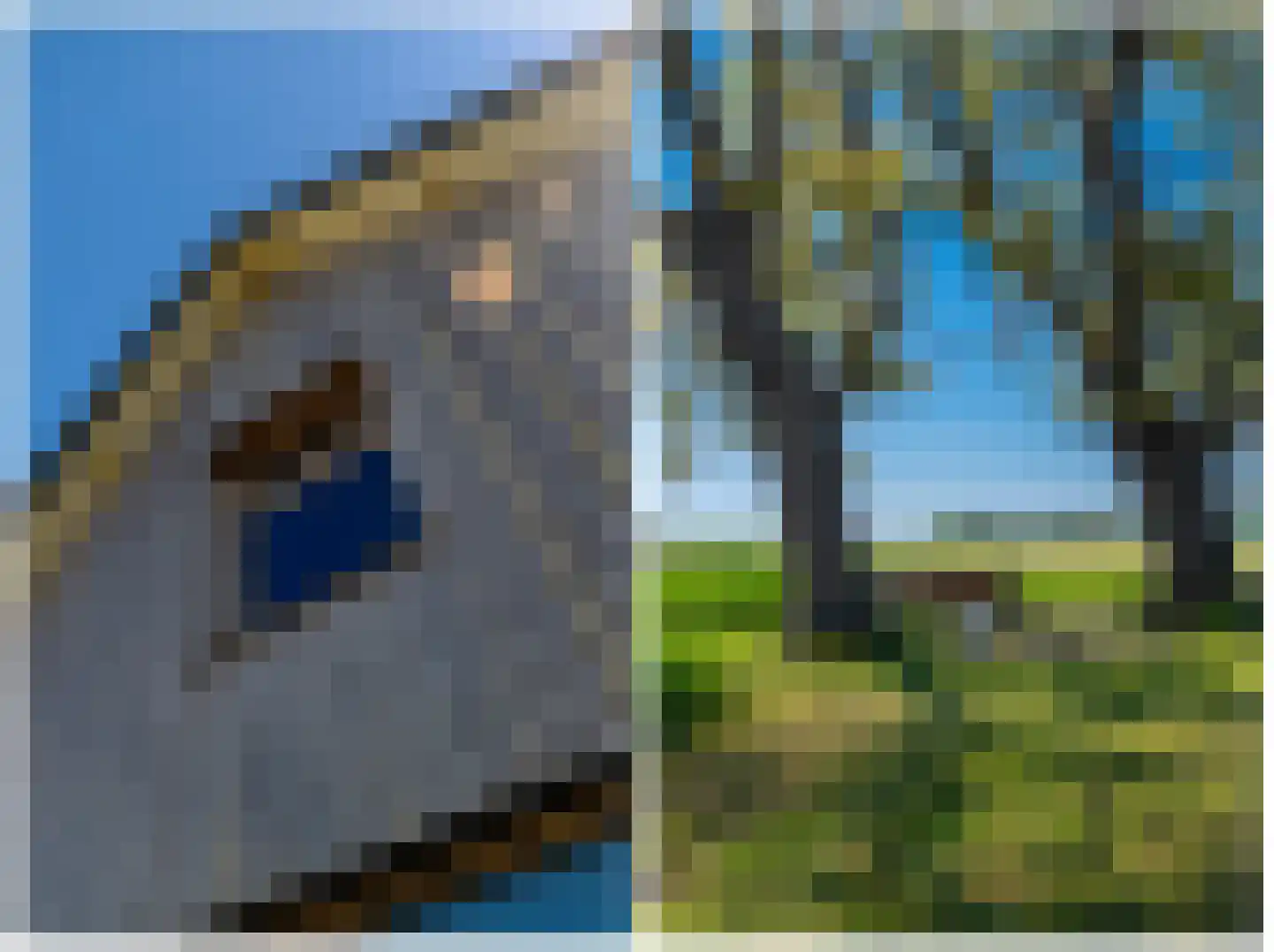 Meerweg 51 Overschild thumbnail 83