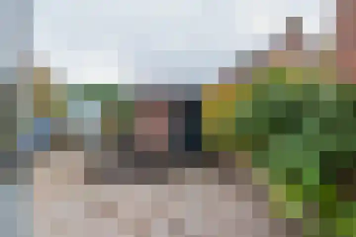 Meerweg 52 Bennebroek thumbnail 14