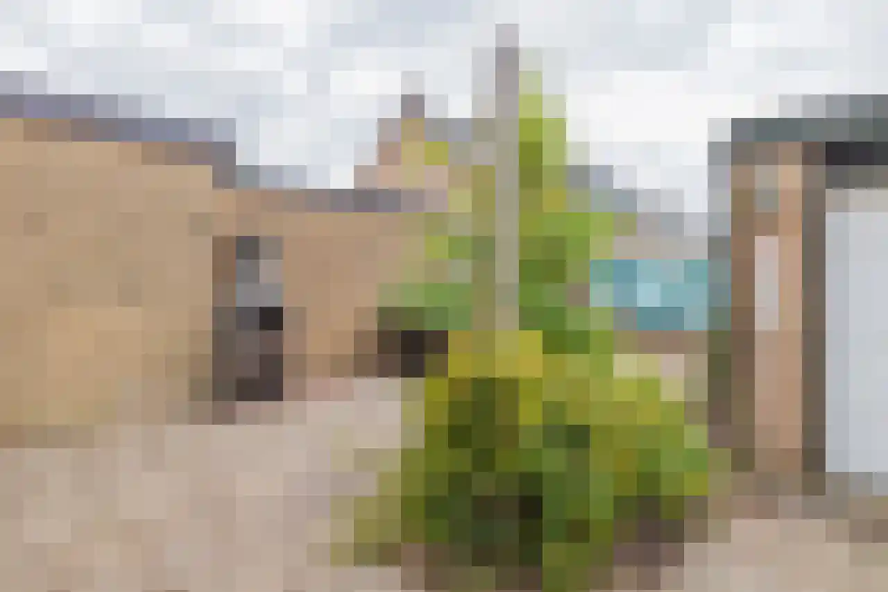Meerweg 53 Bennebroek thumbnail 39