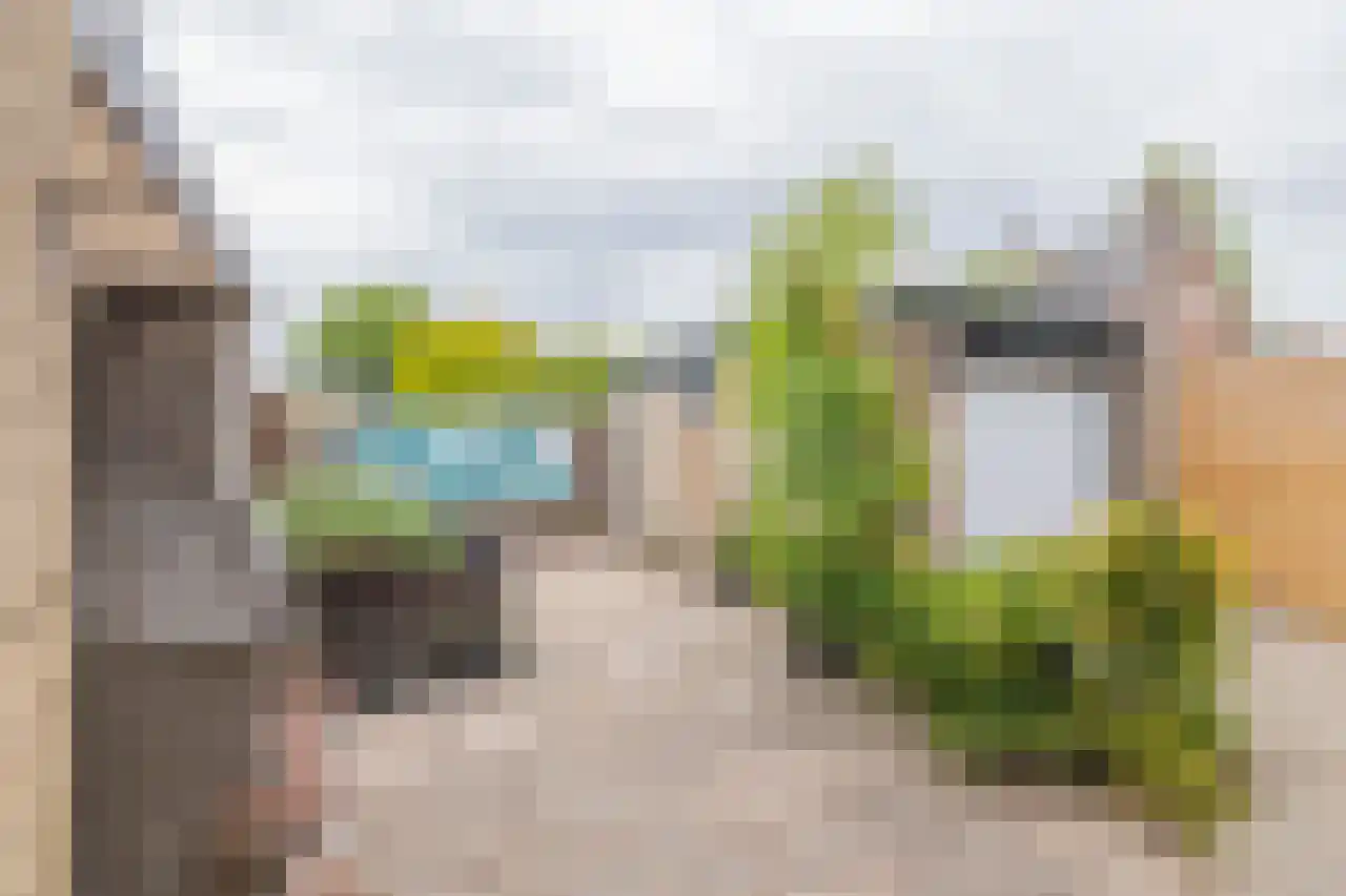 Meerweg 53 Bennebroek thumbnail 4