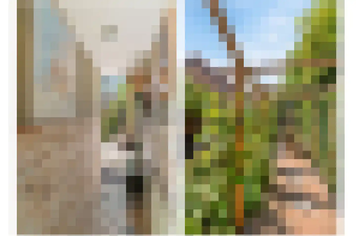 Meerweg 6 Bennebroek thumbnail 23