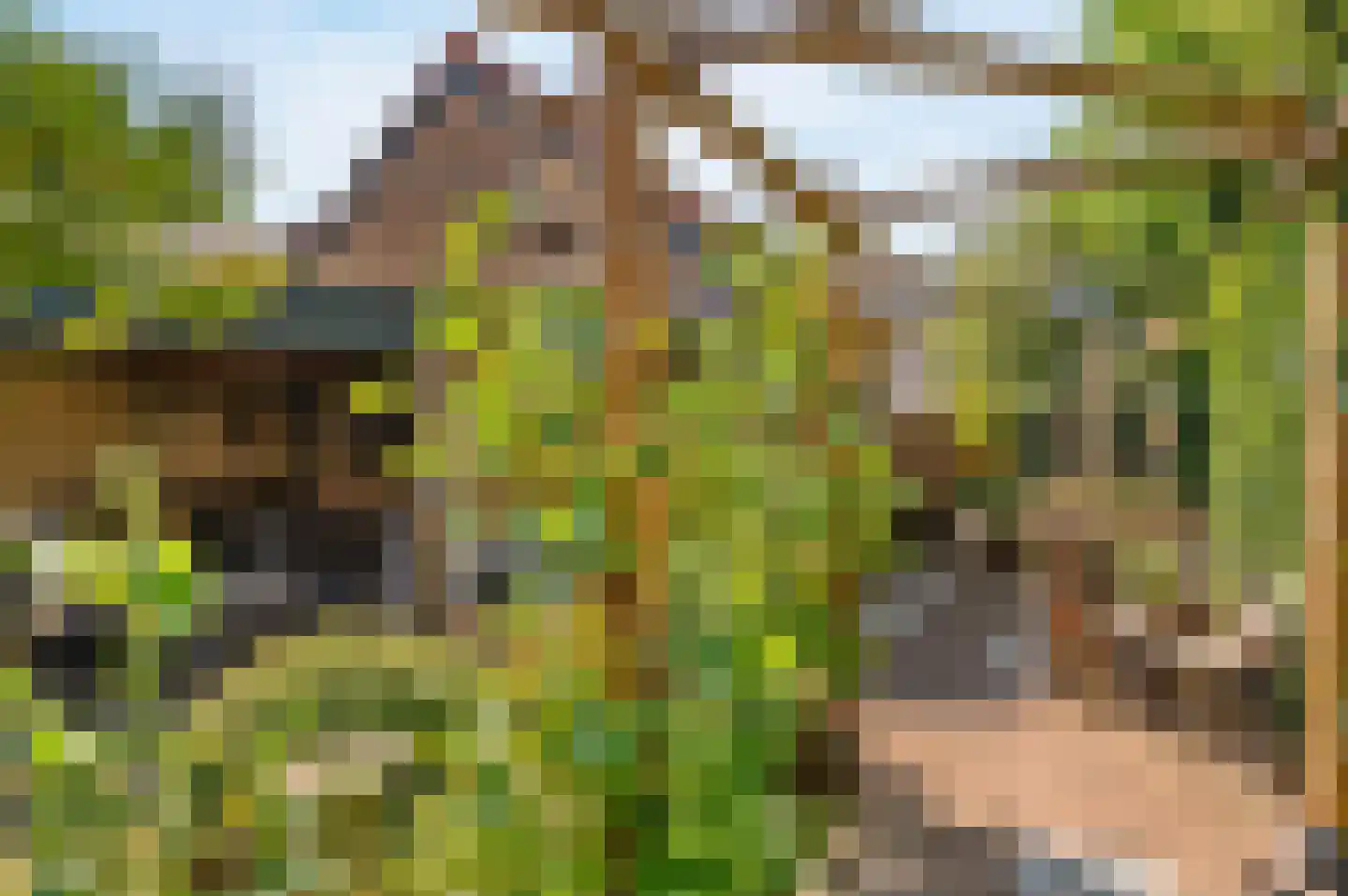 Meerweg 6 Bennebroek thumbnail 25