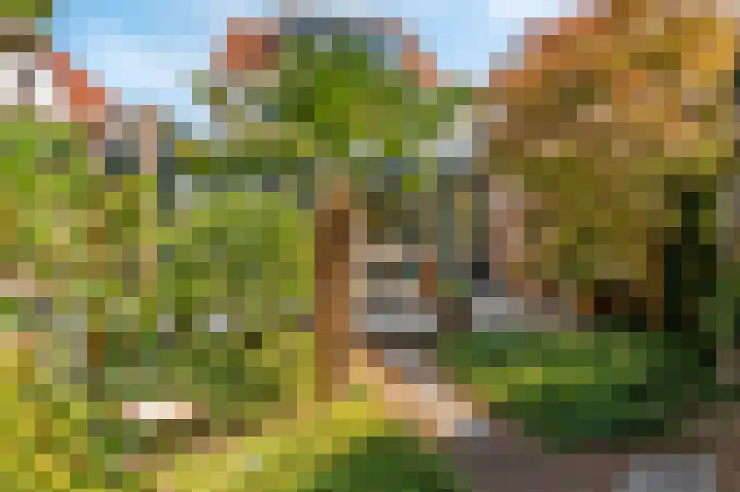 Meerweg 6 Bennebroek thumbnail 28