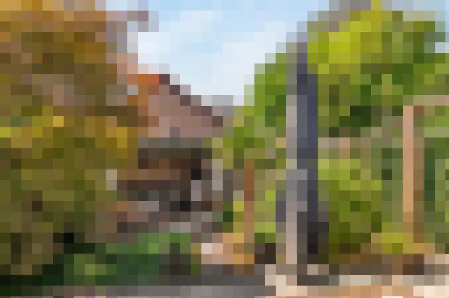 Meerweg 6 Bennebroek thumbnail 31