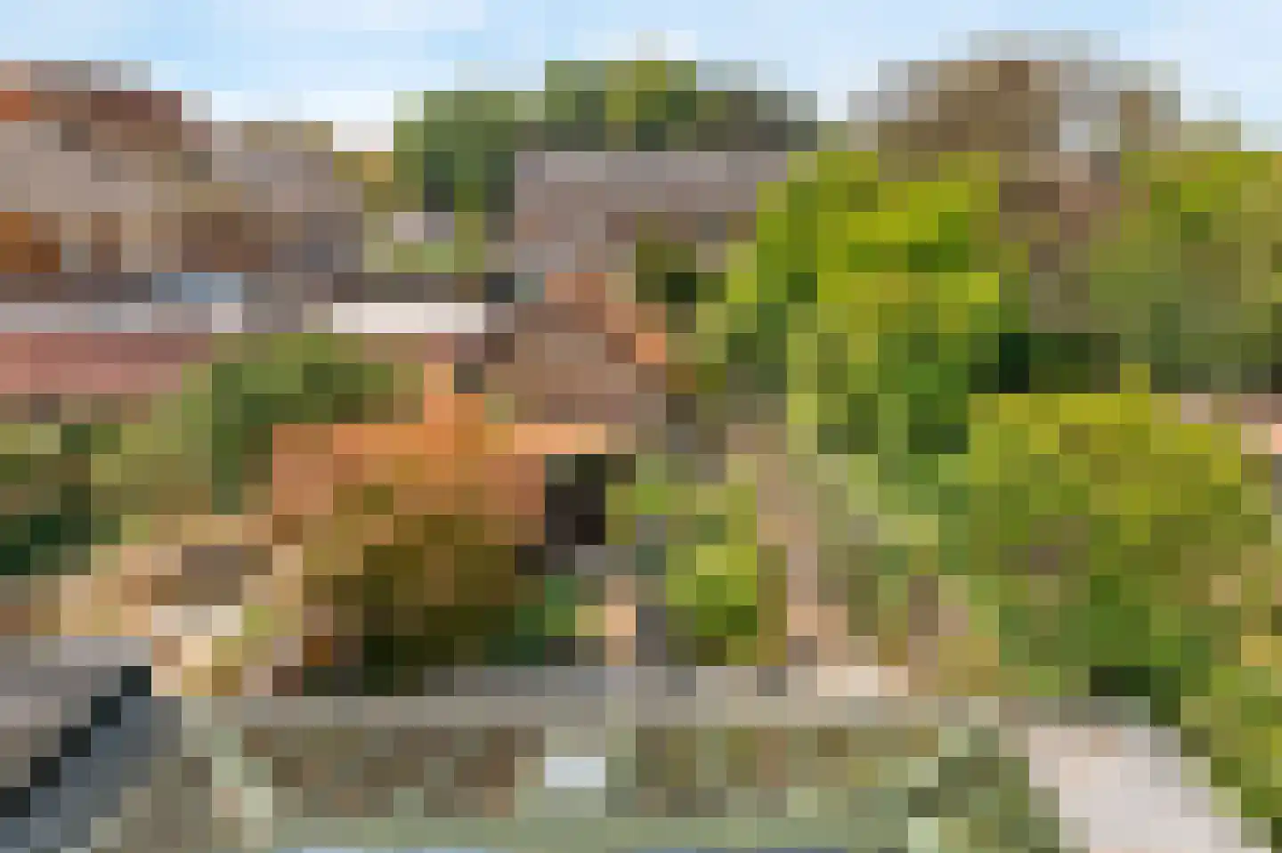 Meerweg 6 Bennebroek thumbnail 51