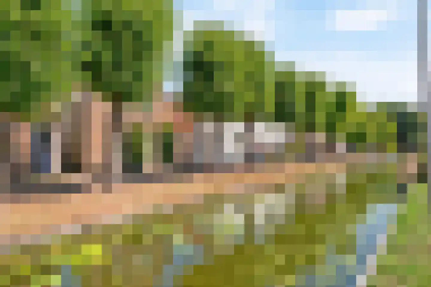 Meerweg 6 Bennebroek thumbnail 54