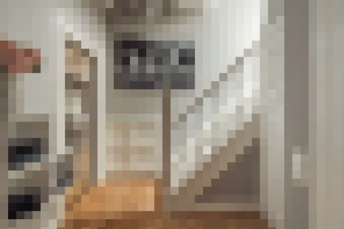 Meerweg 60 Naarden thumbnail 6
