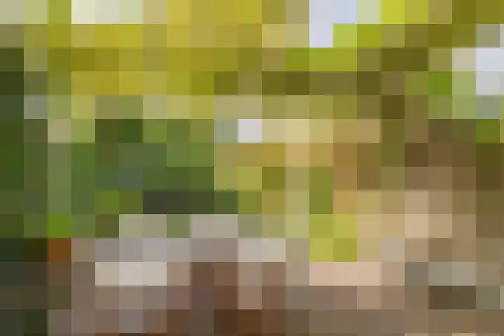 Meerweg 66 Bennebroek thumbnail 33
