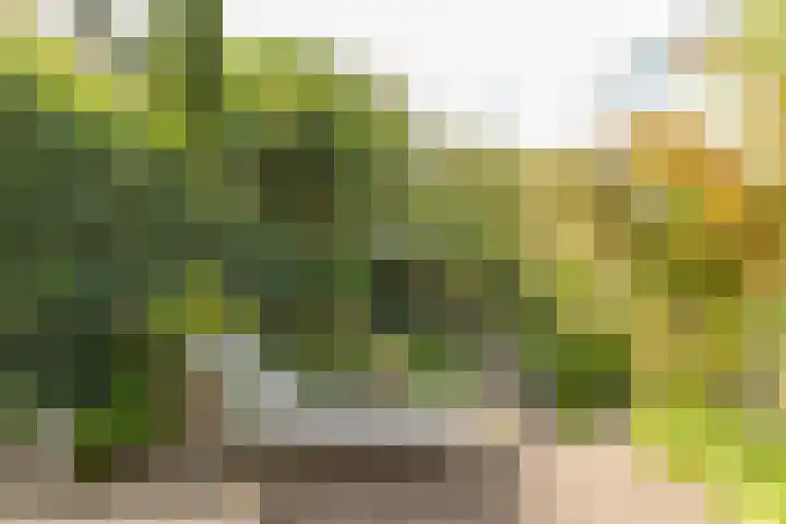 Meerweg 66 Bennebroek thumbnail 35