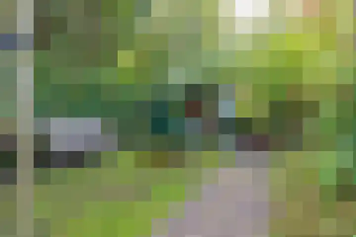 Meerweg 66 Bennebroek thumbnail 36
