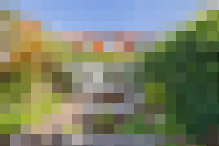Meerweg 66 Bennebroek thumbnail 37