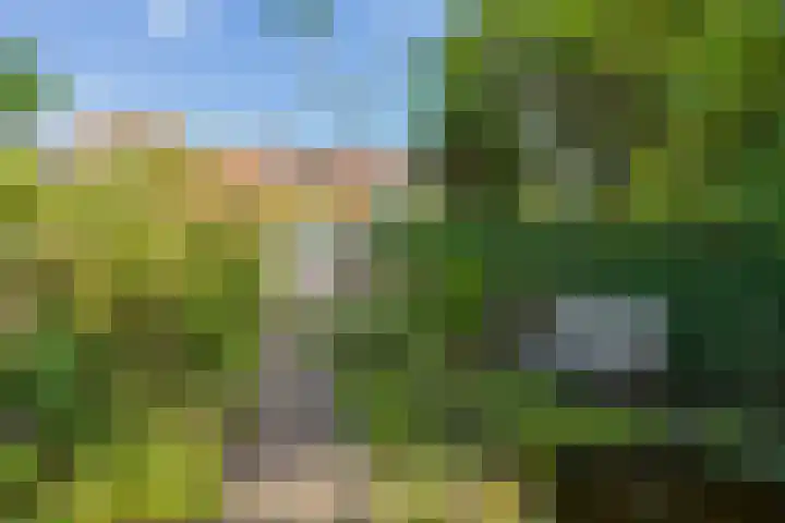 Meerweg 66 Bennebroek thumbnail 38