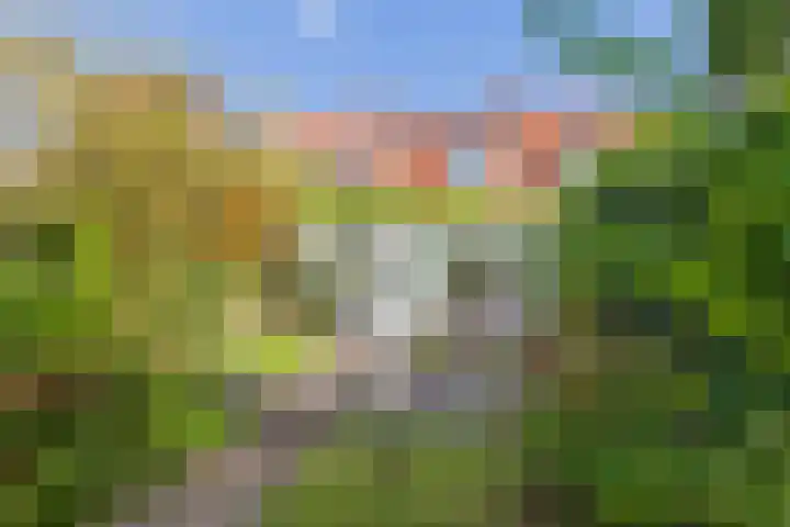 Meerweg 66 Bennebroek thumbnail 39