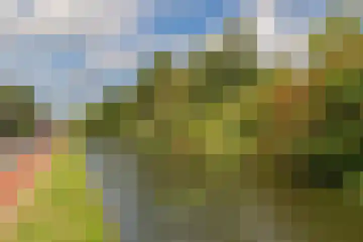 Meerweg 66 Bennebroek thumbnail 45
