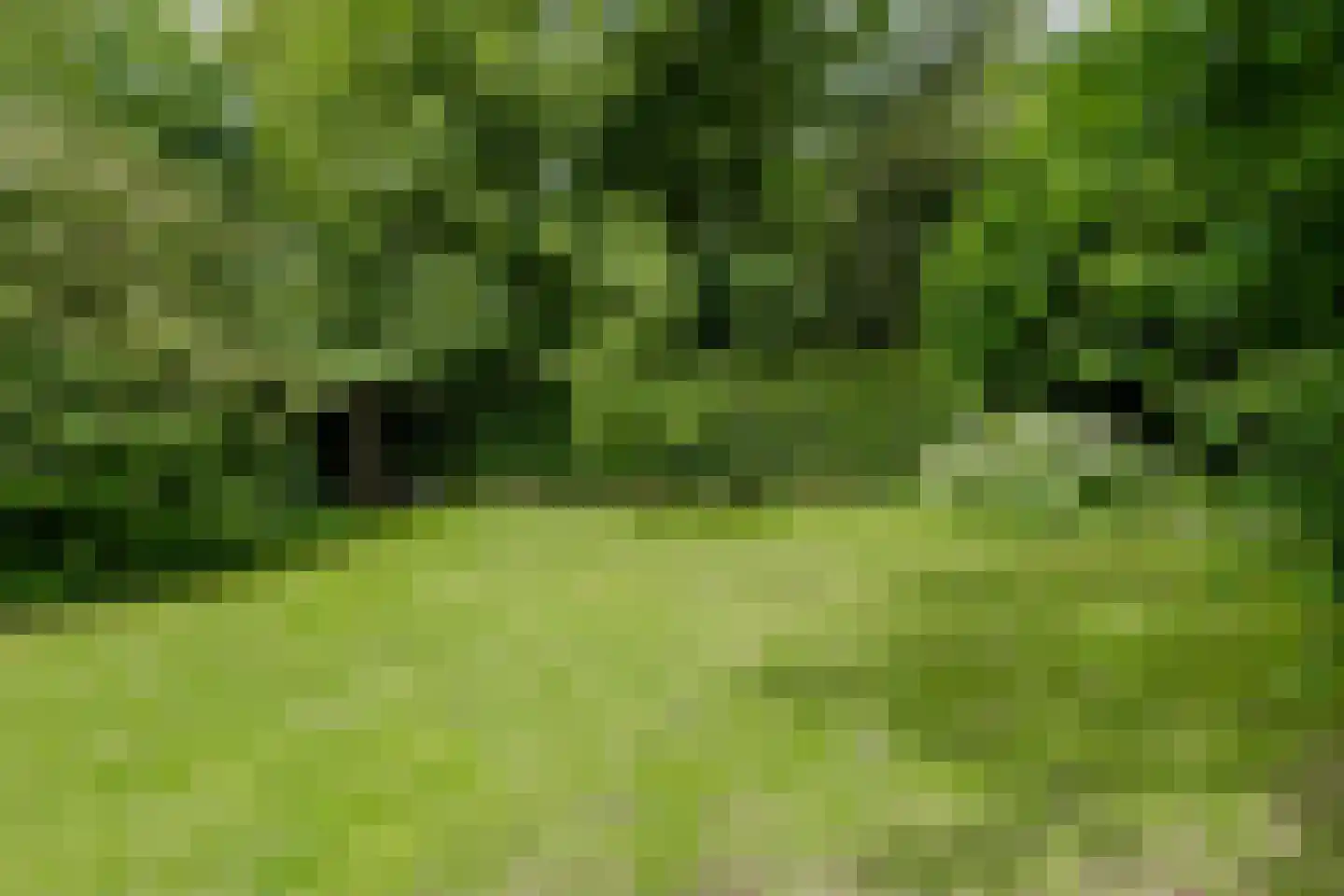 Meerweg 73 Bussum thumbnail 30