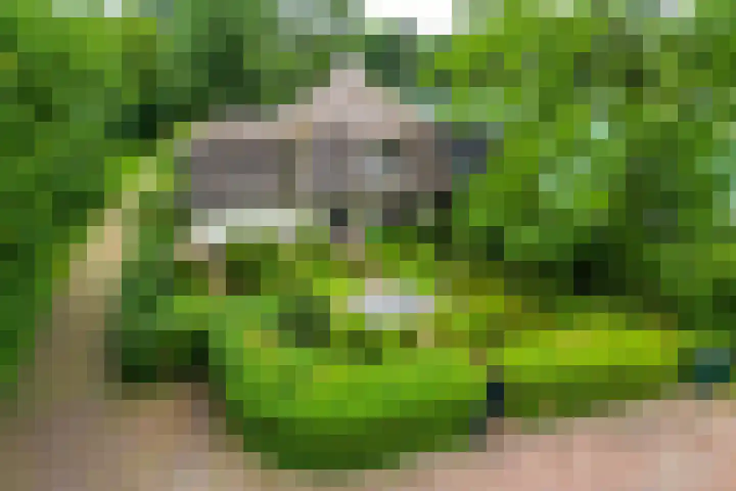 Meerweg 73 Bussum thumbnail 37