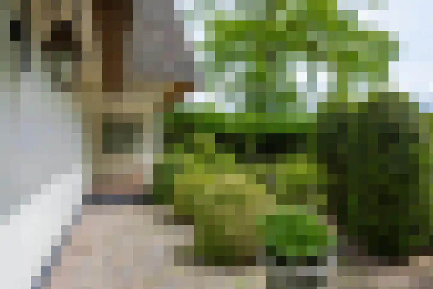 Meerweg 73 Bussum thumbnail 6
