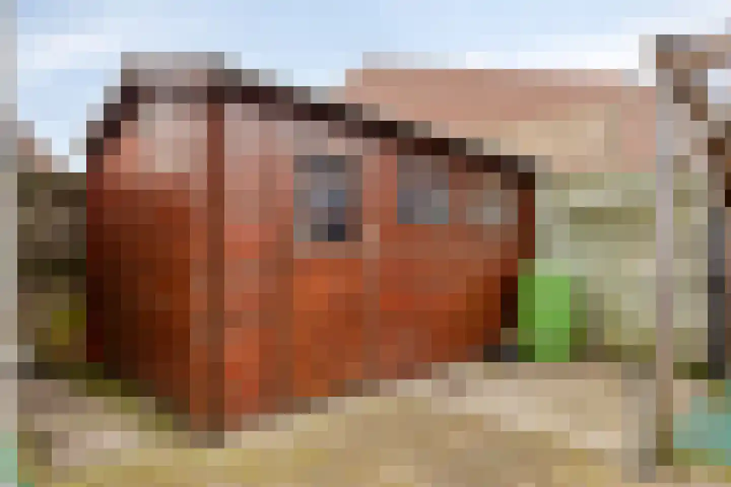 Meerweg 9 Akersloot thumbnail 23