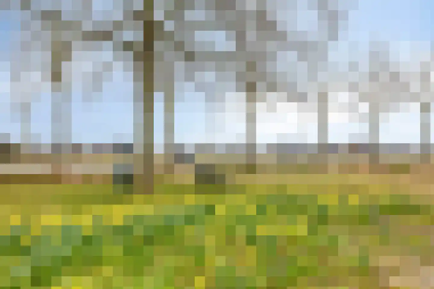 Meerweg 9 Akersloot thumbnail 33