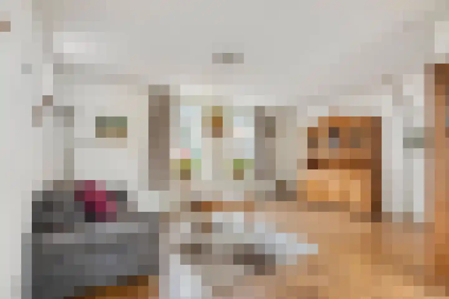 Meerweg 9 Akersloot thumbnail 4