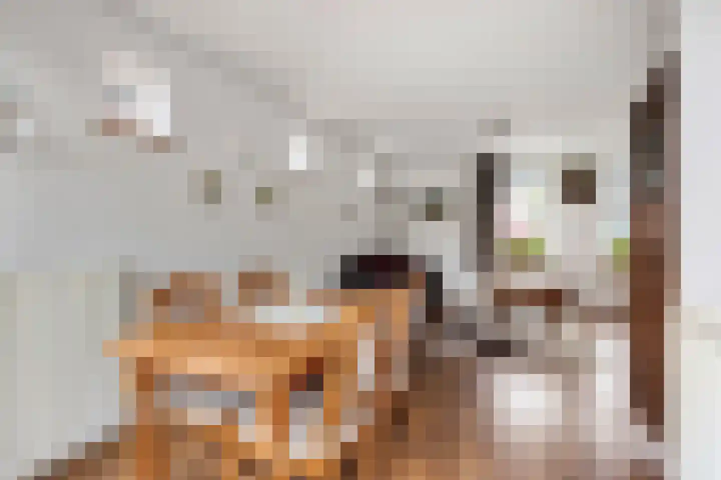 Meerweg 9 Akersloot thumbnail 7