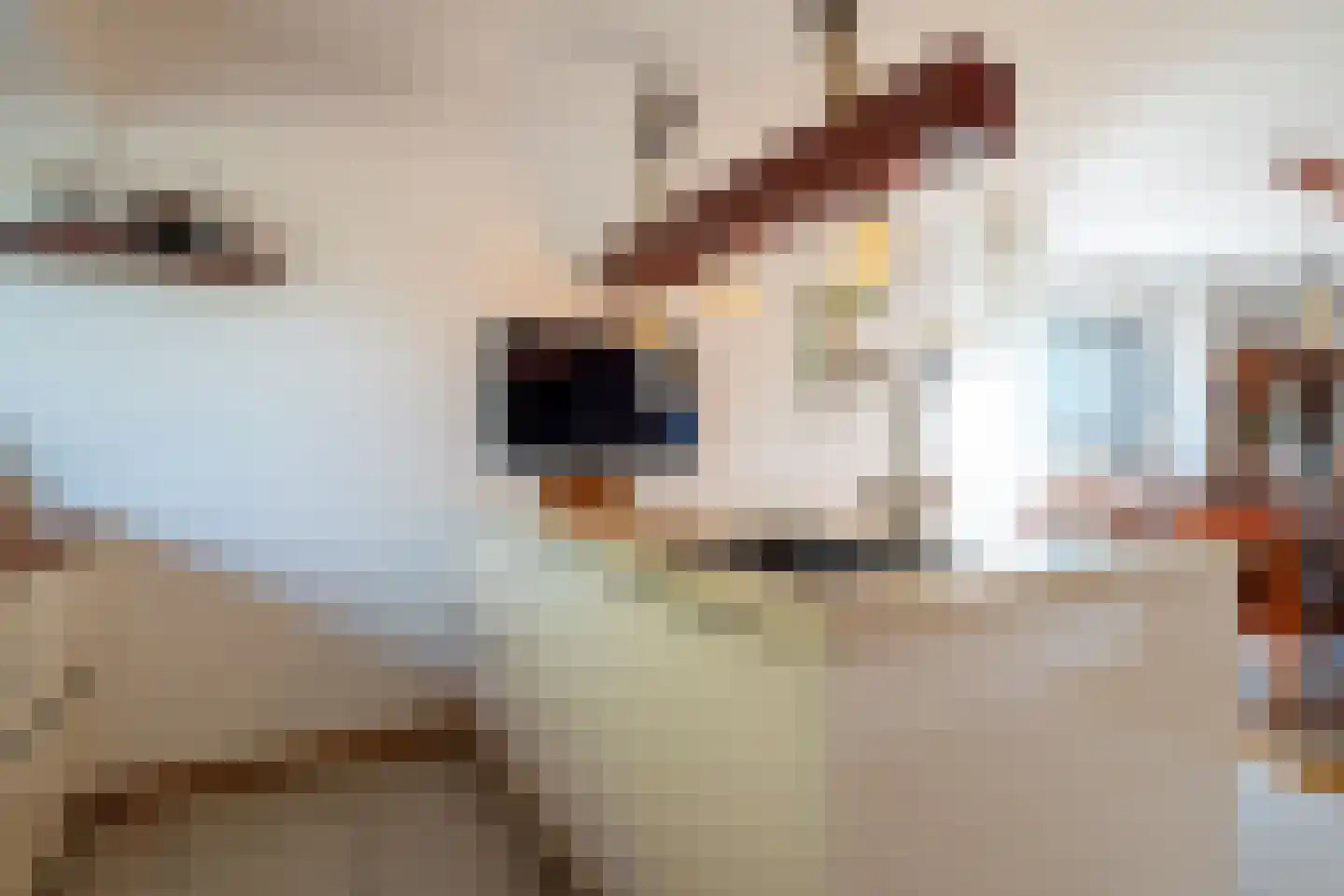 Meerweg 9 Kropswolde thumbnail 28