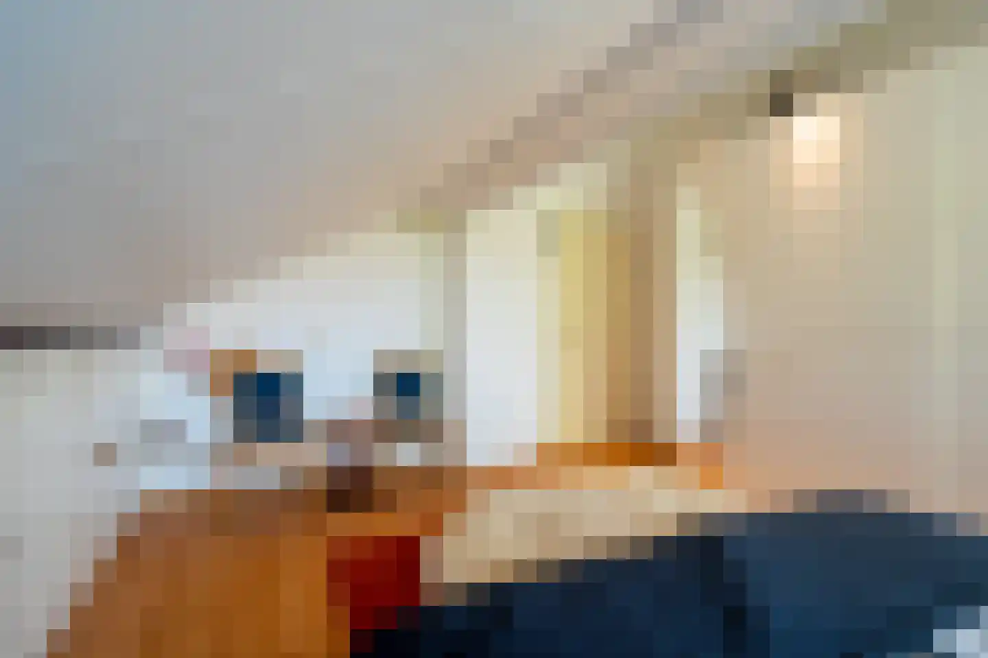Meerweg 9 Kropswolde thumbnail 49