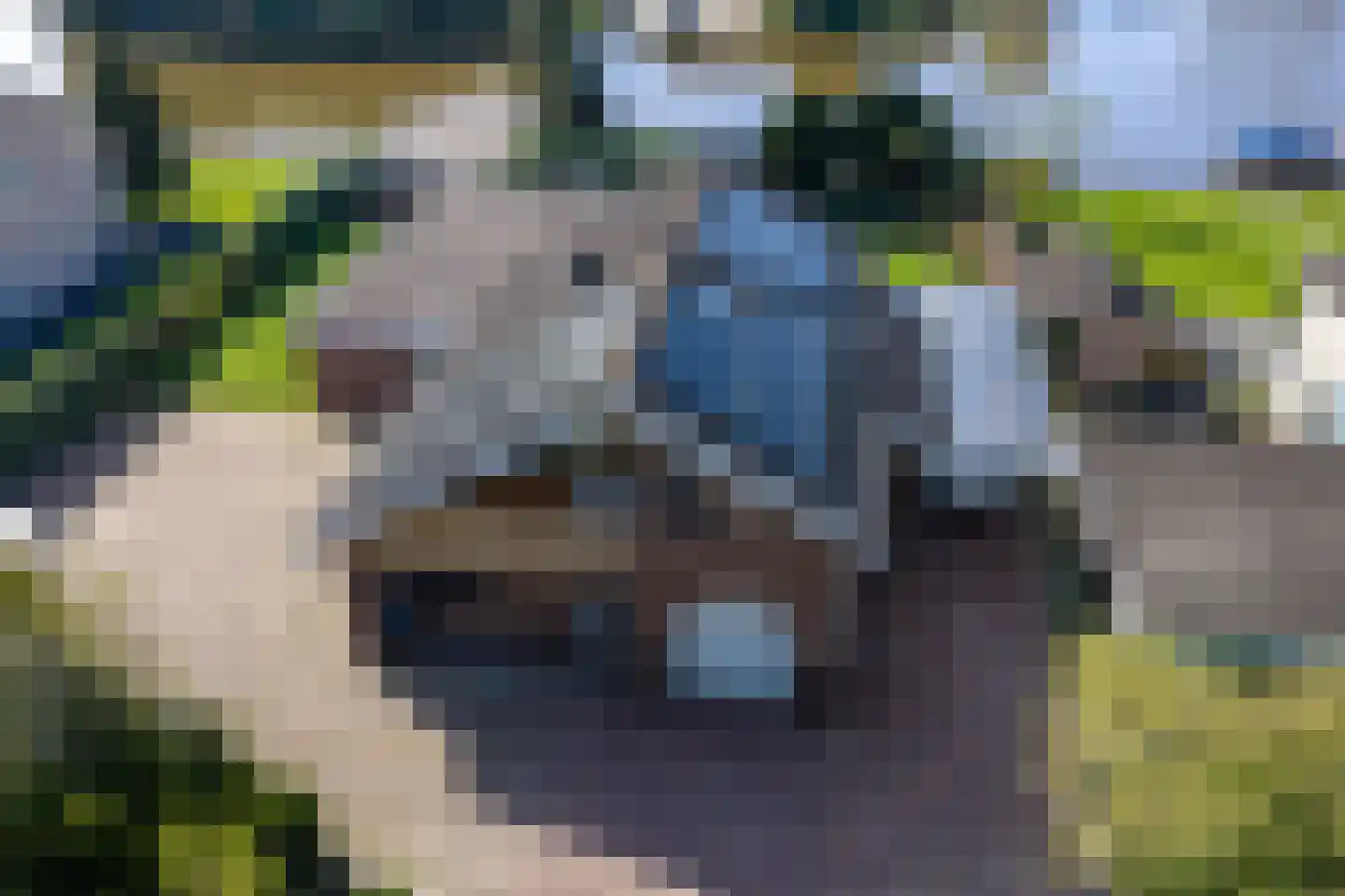 Meerweg 9 Kropswolde thumbnail 73