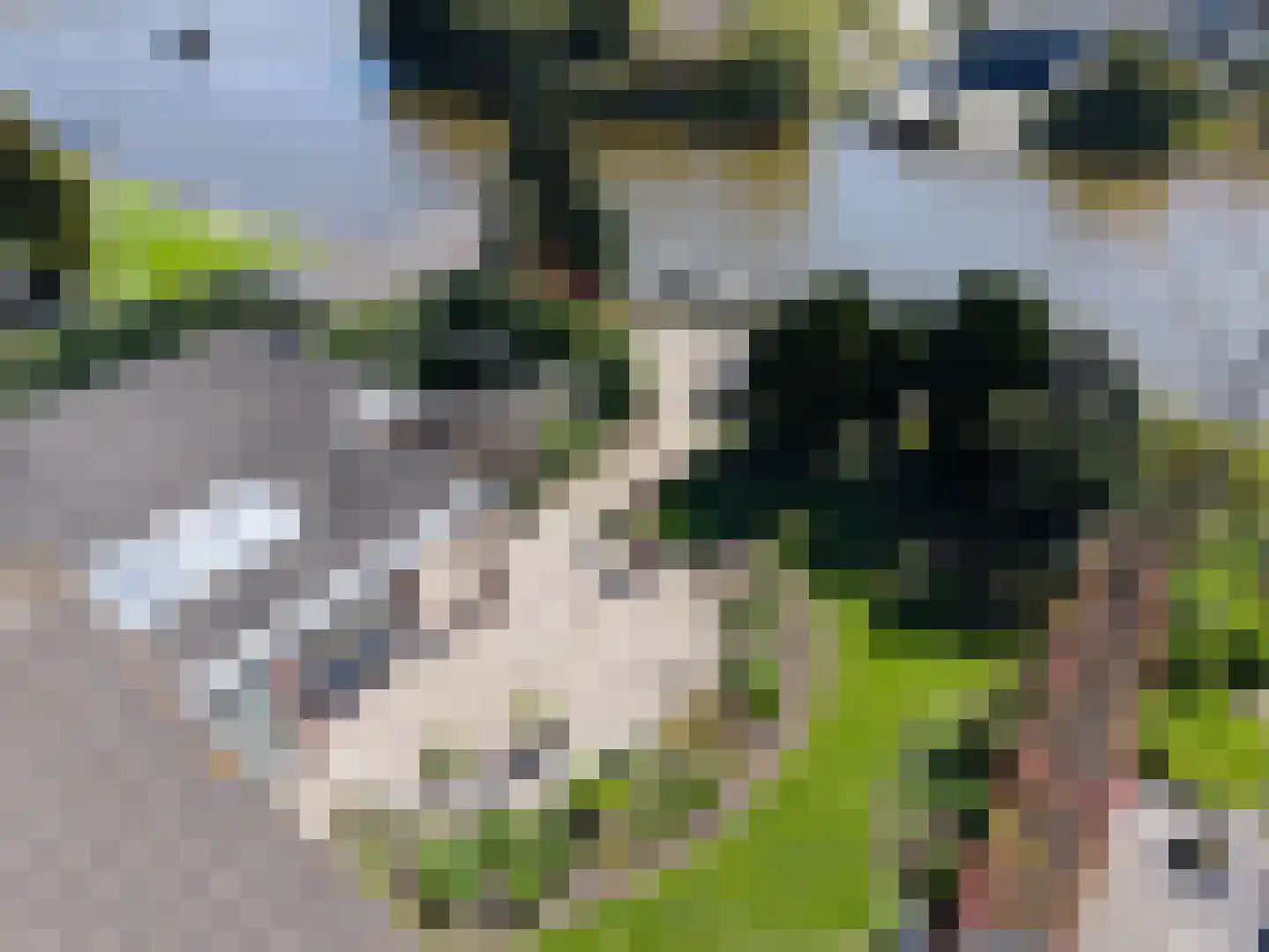 Meerweg 9 Kropswolde thumbnail 74