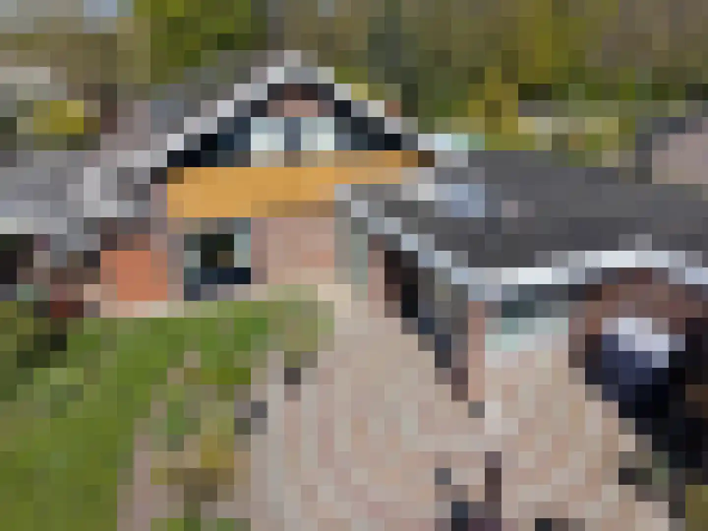 Meerweg 9 Kropswolde thumbnail 81